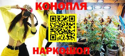 скорость Новодвинск