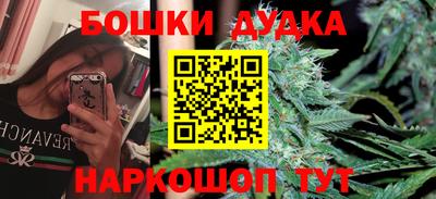 PSILOCYBIN Новозыбков
