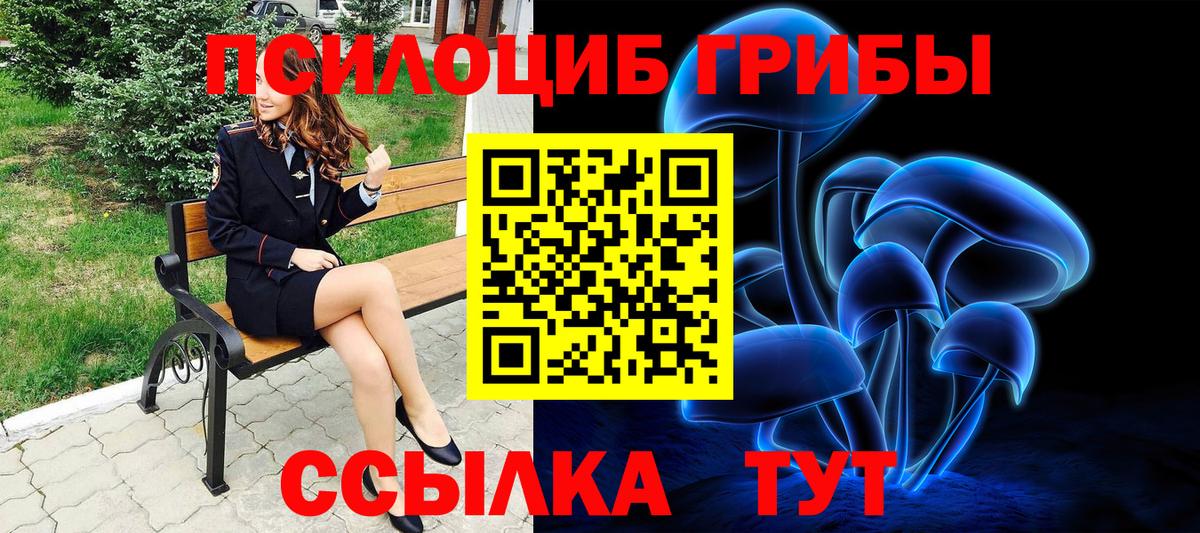 Советск  Псилоцибиновые грибы мицелий  Вход с VPN  Галлюциногенные грибы Cubensis 