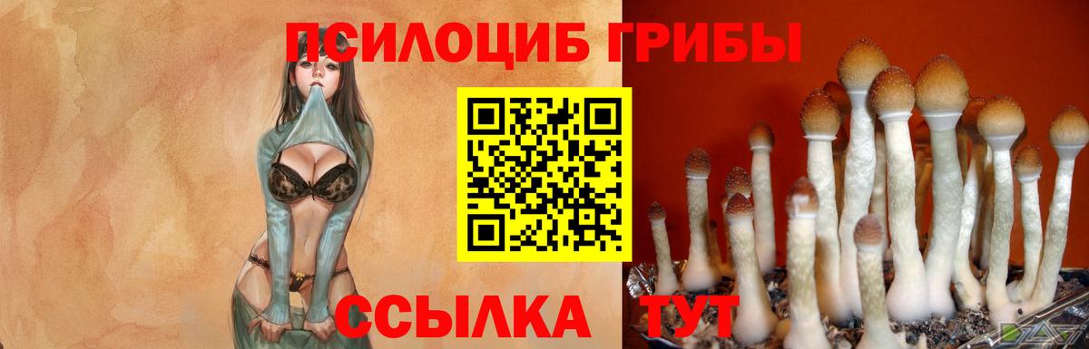 Галлюциногенные грибы прущие грибы Советск